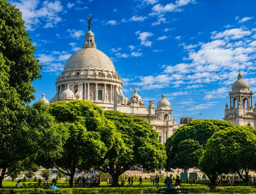 Professional driver services in Kolkata